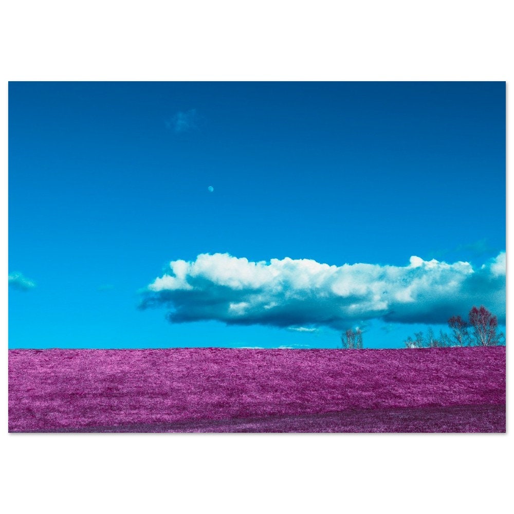 Museum-Quality Matte Paper Poster. nature inspired wall decor of purple field and cloud photography. home interior pictures.